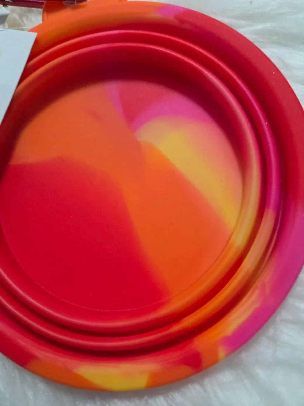 Sun Squad Collapsible Pet Bowl